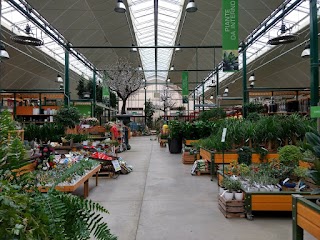 Marino Fiori - Garden Store