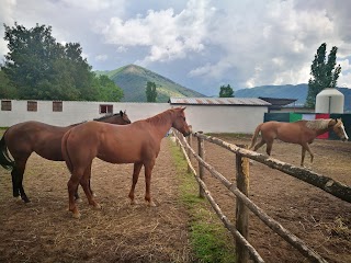 Family Ranch Subiaco