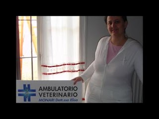 Ambulatorio Veterinario Monari Dott.ssa Elisa