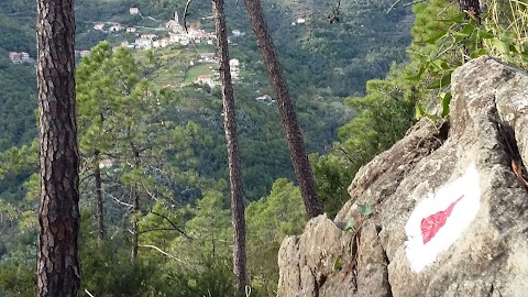 Liguria Escursioni Quad Sestri L. (GE)