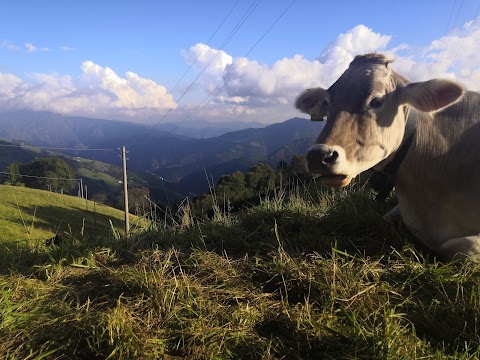 Passo di Zambla