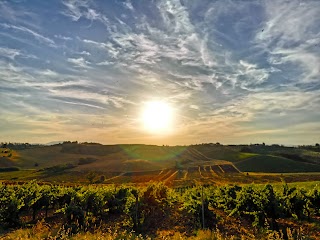 Tenuta Colle Alberti