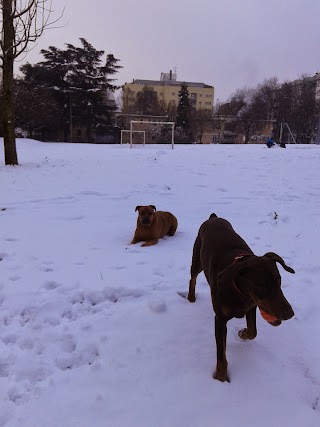 Parco di via Adenauer, Gandhi, Faccio