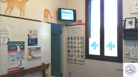 Ambulatorio Veterinario Fiesole