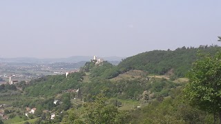 Bosco comunale Mario Tonin