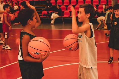 Vis Aurelia Basket Roma