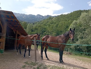 Ranch la Criniera