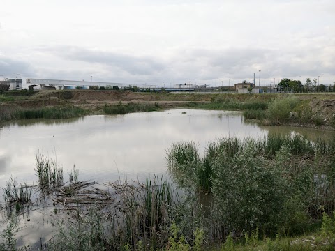 Parco pubblico - Cascina Merlata