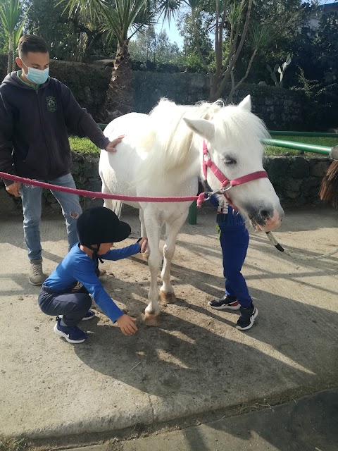 CIRCOLO IPPICO IL CILIEGIO - scuola di equitazione, Pony games, organizzazione compleanni a tema