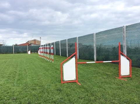 Scuola Addestramento Cani Centro Cinofilo Dinamic Dog A.S.D.