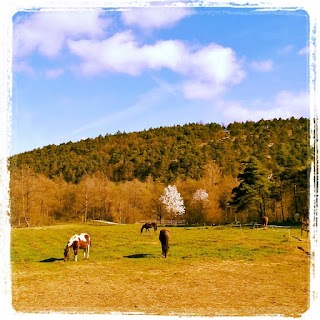 Rio Selvatico Ranch