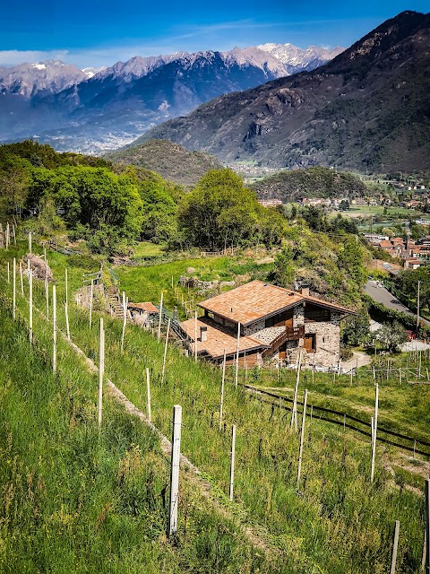 Parco del Lago Moro