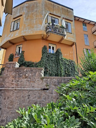 Centro Colori Di Mauro Naldi