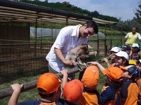 Scuola Parsifal Asilo Nido e dell'Infanzia Paritaria Aversa