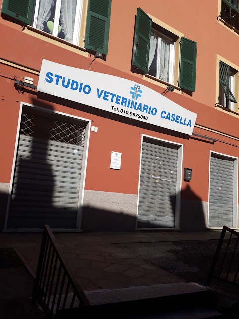 Studio Veterinario di Casella