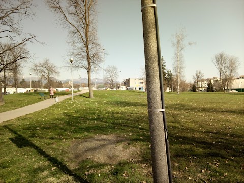 Skate Park Biella