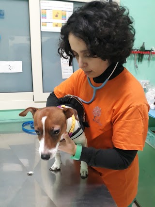 Dottoressa D'Antoni Michela - Dermatologa veterinaria