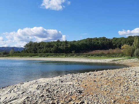 Bosco del Turlaccio