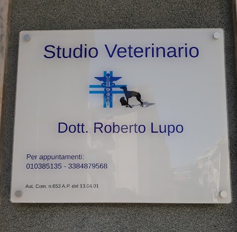 Lupo Dr. Roberto