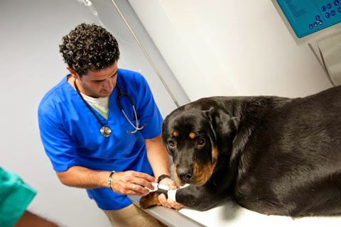 Ambulatorio Veterinario Zarcone - Bagheria