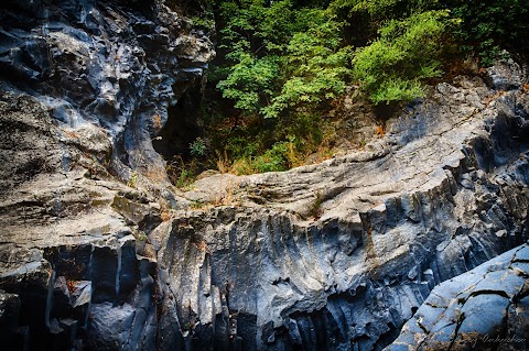 Gole Alcantara Parco Botanico e Geologico