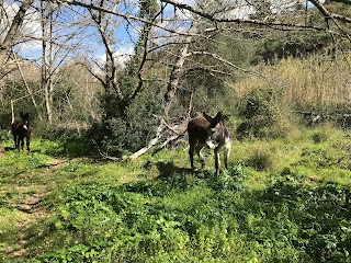 Siracusa Tour Experience - Siracusa guida naturalistica