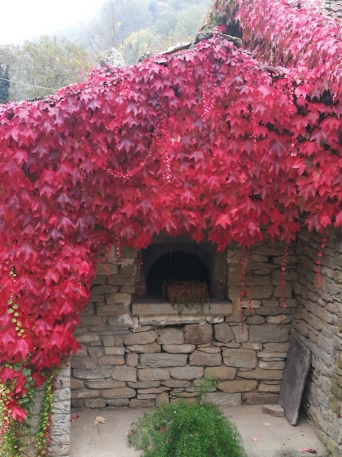 Agriturismo Il Casolare di Manuela