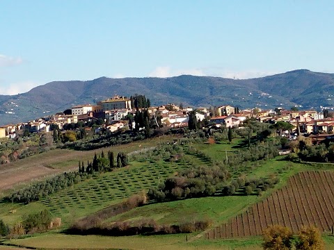 Apicoltura Andrea Bizzarri - Miele di Toscana