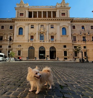 Pontificia Università Gregoriana