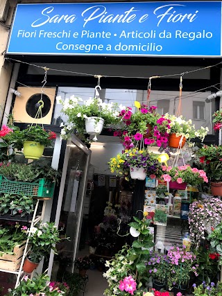 Sarà piante e fiori di Saha Sompa