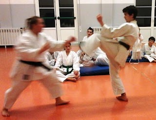 Dai Shin Do karate arti marziali Duino Aurisina - Sistiana - Santa Croce e Trieste