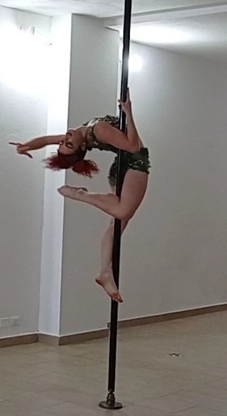 Upside Down Aerial & Pole Dance