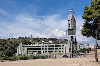 Istituto Italiano Di Tecnologia