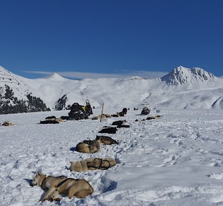 Point Information Belle Plagne