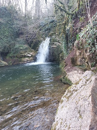 La casa del dog trekking