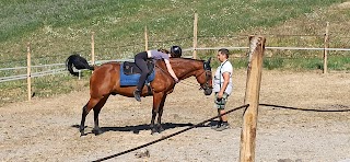 Scuola di Equitazione, Centro Cinofilo Podere Viticella ASD