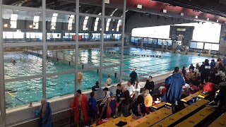 Associazione Sportiva Dilettantistica Genova Nuoto