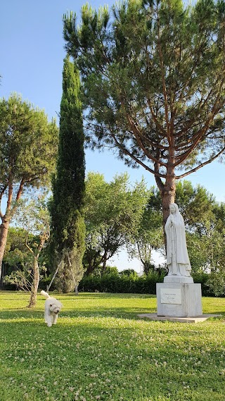 Pontificio Collegio Coreano