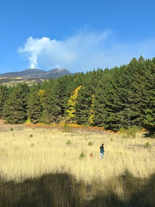 Monte Vetore