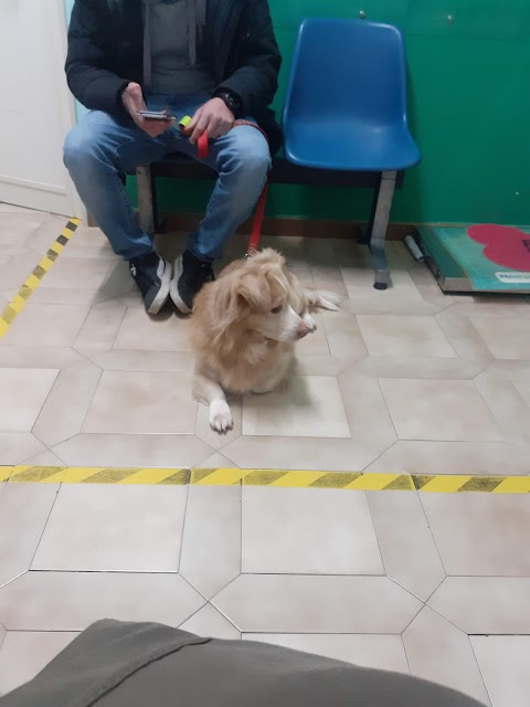 Ambulatorio Veterinario Mi Fido di Te