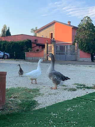 Agriturismo San Lorenzo