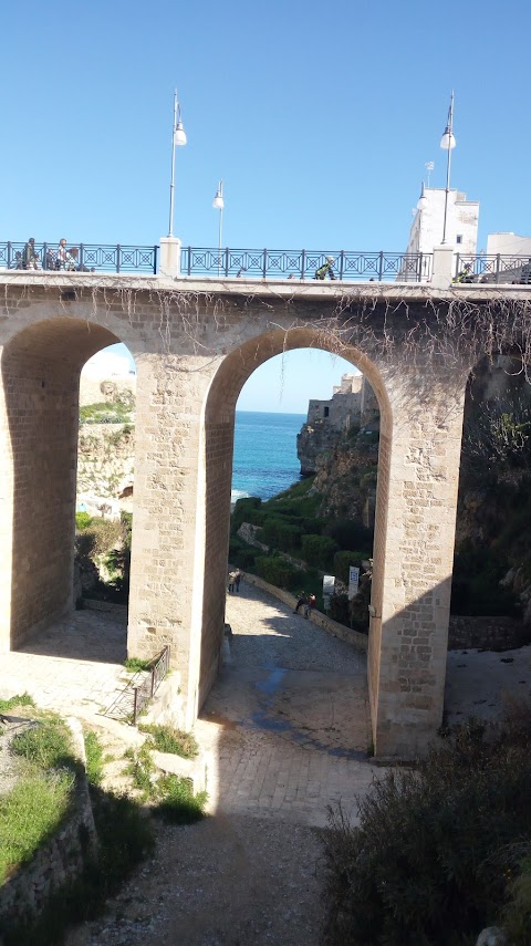 TAXI - Andria (Castel del Monte)