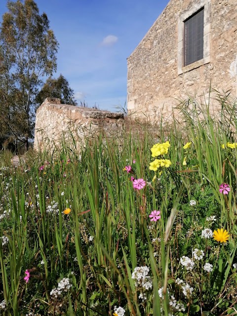 Case e camere in affitto bfece