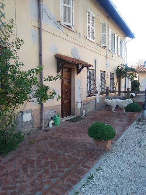 Clinica Veterinaria Appia 24H