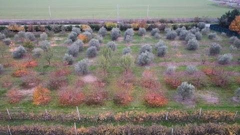 Podere Avati