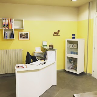 Ambulatorio Veterinario Pontevico