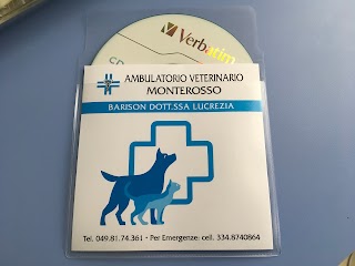 Ambulatorio Veterinario Monterosso