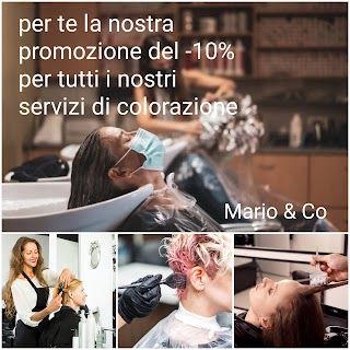 MARIO & CO. HAIR PROFESSIONAL