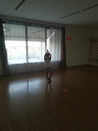 Studio olistico Ananda, Postural Yoga Therapy