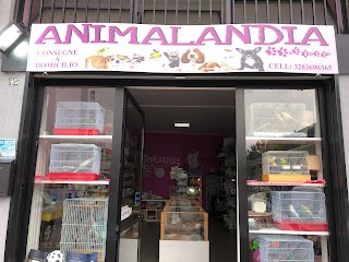 ANIMALANDIA